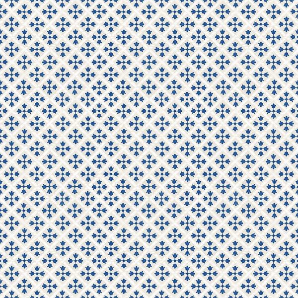 Monopole colección GUADALUPE BLUE